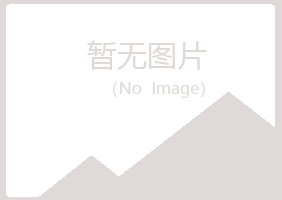 临夏县山柳金属有限公司